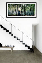 "Bamboo Monk" Kyoto, Japan 2009 // archival pigment print