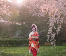 "Blossom Sunrise" Kyoto, Japan 2009
