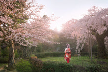 "Blossom Sunrise" Kyoto, Japan 2009