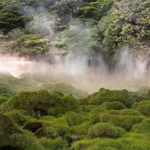 "Beppu Over Iguazu" Japanese hot spring and Brazilian waterfall grass, 2011
